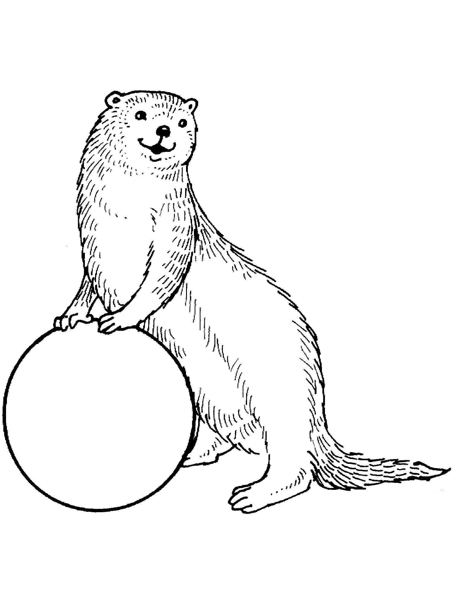 Free Otter coloring pages. Download and print Otter coloring pages