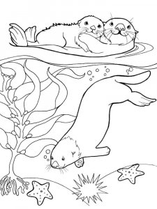 Otter coloring page - picture 1