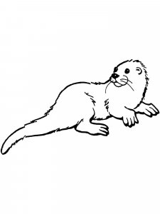 Otter coloring page - picture 11