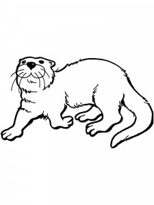 Otter coloring page - picture 12