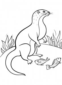 Otter coloring page - picture 16