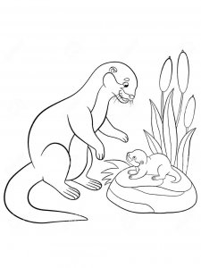 Otter coloring page - picture 17