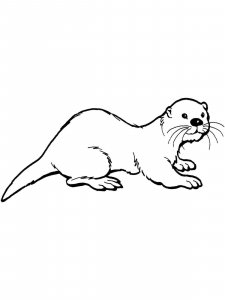 Otter coloring page - picture 21