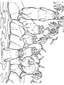 Otter coloring page - picture 25