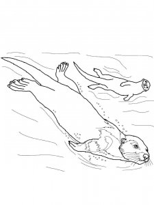 Otter coloring page - picture 4