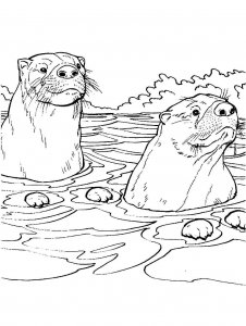 Otter coloring page - picture 5