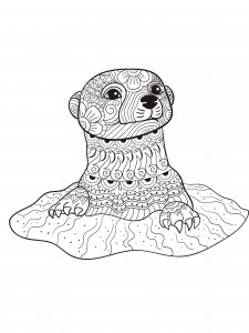 Otter coloring page - picture 8