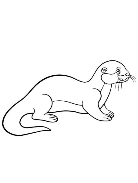 Otter coloring pages