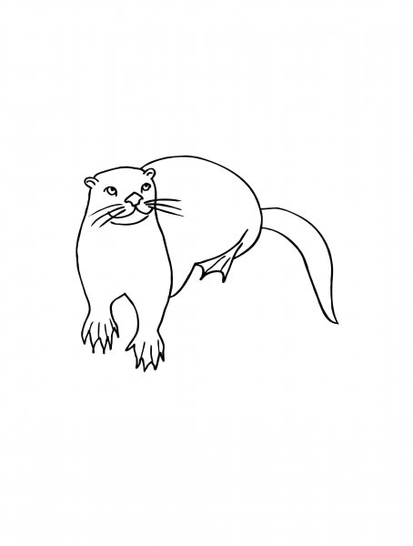 Otter coloring pages