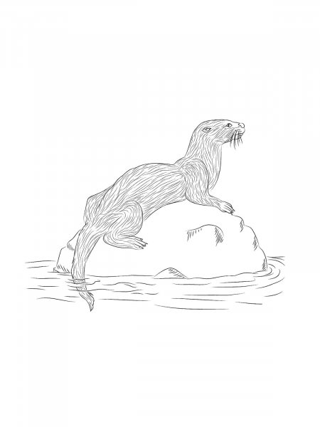 Otter coloring pages