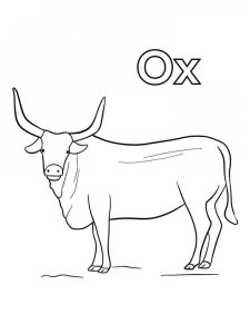 Ox coloring page - picture 11