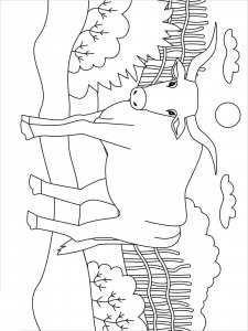 Ox coloring page - picture 13