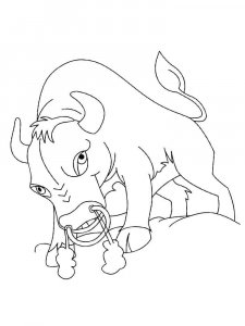Ox coloring page - picture 18