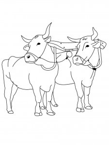Ox coloring page - picture 20