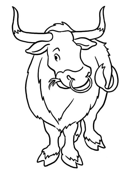 Ox coloring pages