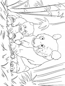 Panda coloring page - picture 10