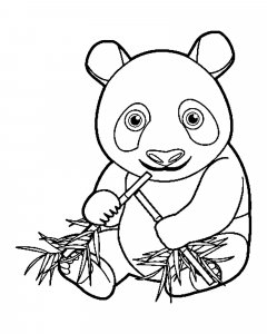 Panda coloring page - picture 16