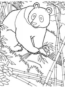 Panda coloring page - picture 17