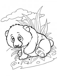 Panda coloring page - picture 23