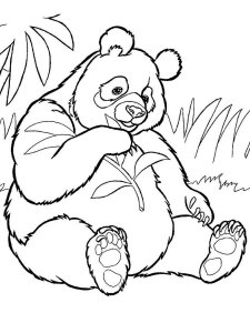 Panda coloring page - picture 25