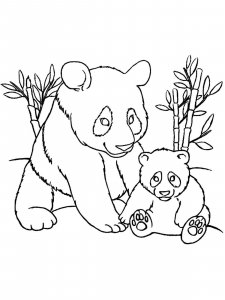 Panda coloring page - picture 30