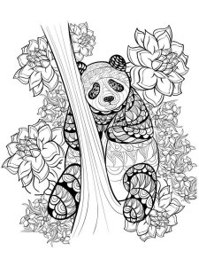 Panda coloring page - picture 34