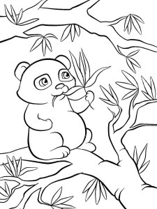 Panda coloring page - picture 36