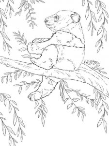 Panda coloring page - picture 5