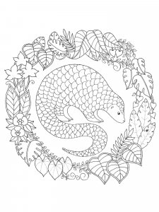 Pangolin coloring page - picture 12
