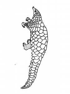 Pangolin coloring page - picture 13