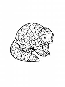 Pangolin Coloring Pages 20