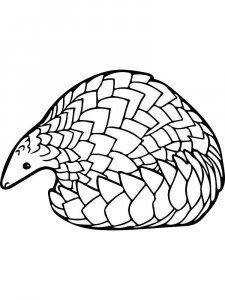 Pangolin coloring page - picture 5