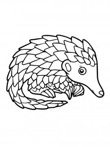 Pangolin coloring page - picture 6