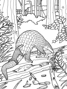 Pangolin coloring page - picture 7