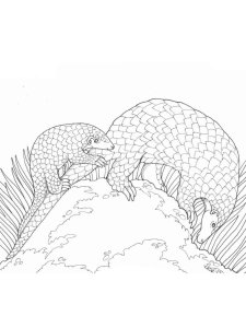 Pangolin coloring page - picture 8