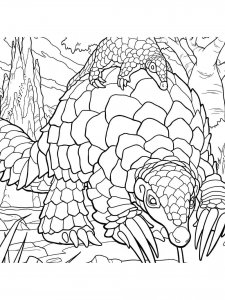 Pangolin coloring page - picture 9