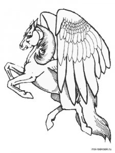 Pegasus coloring page - picture 11