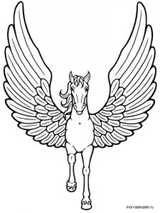 Pegasus coloring page - picture 16