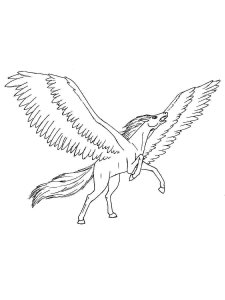 Pegasus coloring page - picture 23