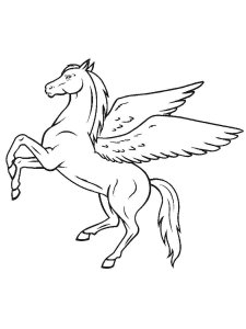 Pegasus coloring page - picture 25