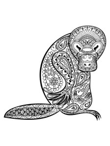 Platypus coloring page - picture 1