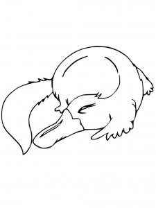 Platypus coloring page - picture 23