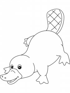 Platypus coloring page - picture 24