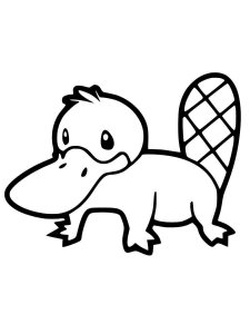 Platypus coloring page - picture 4