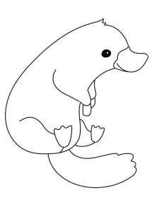 Platypus coloring page - picture 5