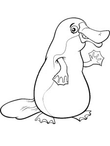 Platypus coloring page - picture 6