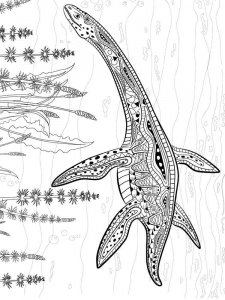 Plesiosaurus coloring page - picture 15