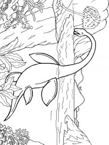 Plesiosaurus coloring page - picture 17