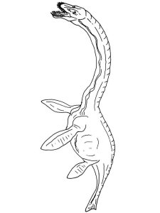 Plesiosaurus coloring page - picture 18