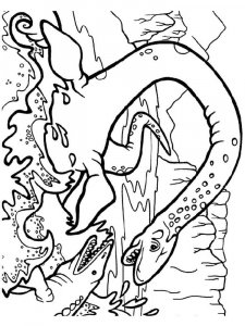 Plesiosaurus coloring page - picture 22